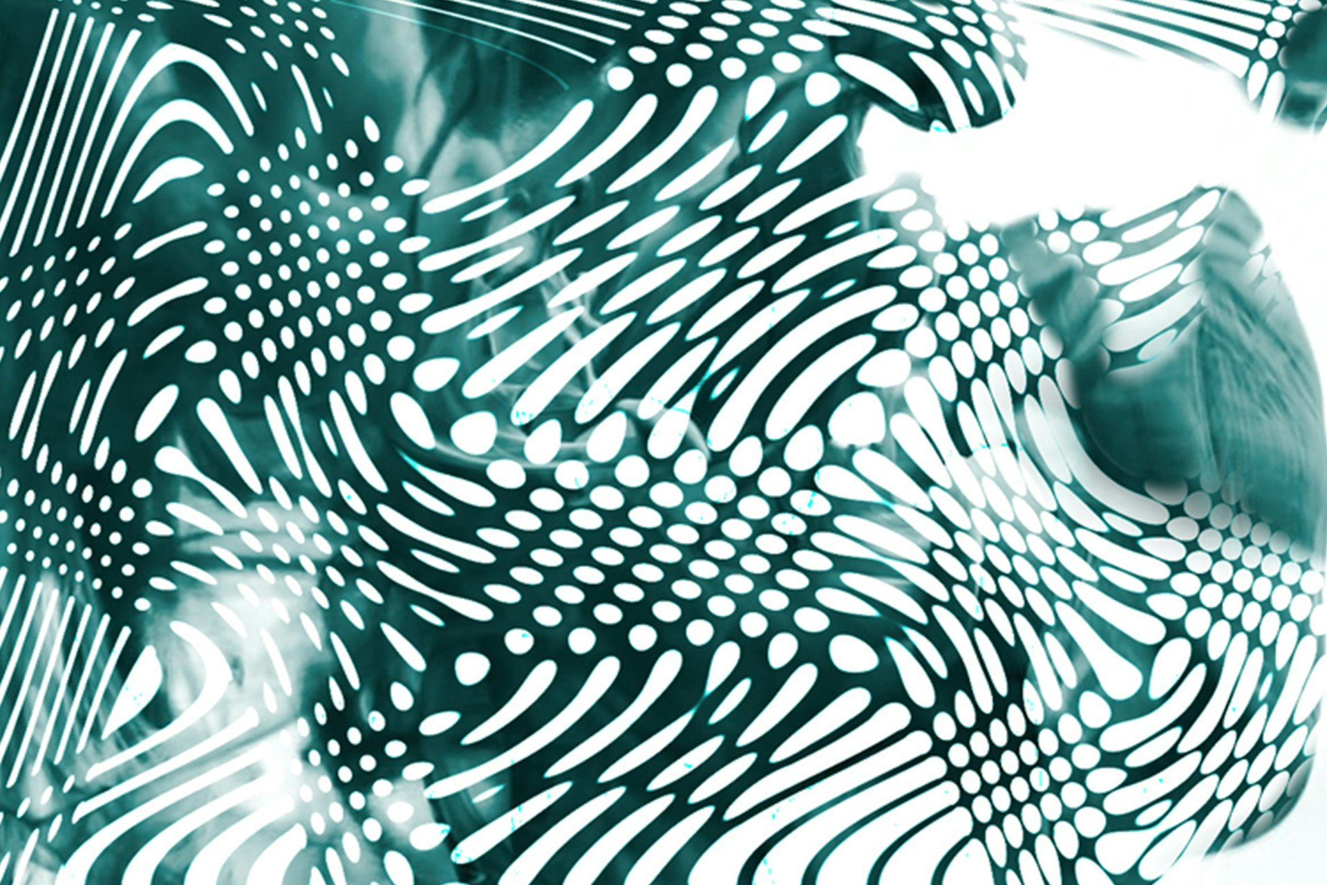 Unlocking the Future: Digital Identity Transformation in Finance by 2025