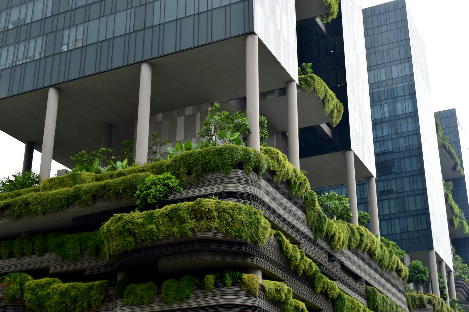 How Green Building Certifications Are Shaping the Future of Real Estate