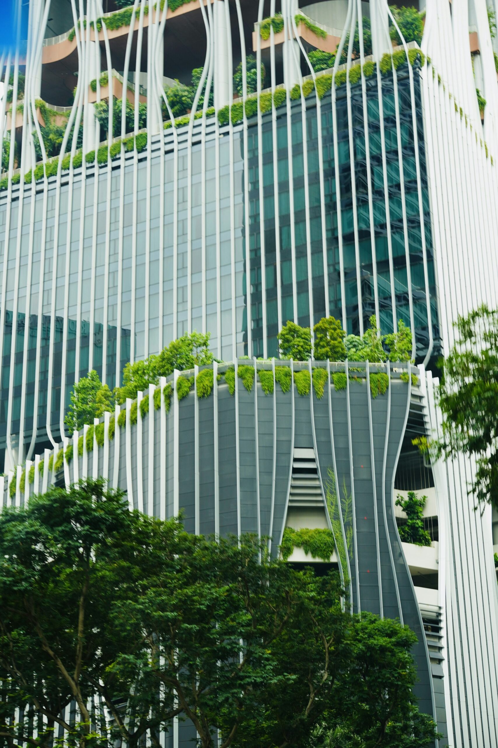 The Future of Green Banking and Eco-Friendly Finance: Trends, Opportunities, and How to Access Sustainable Financial Solutions