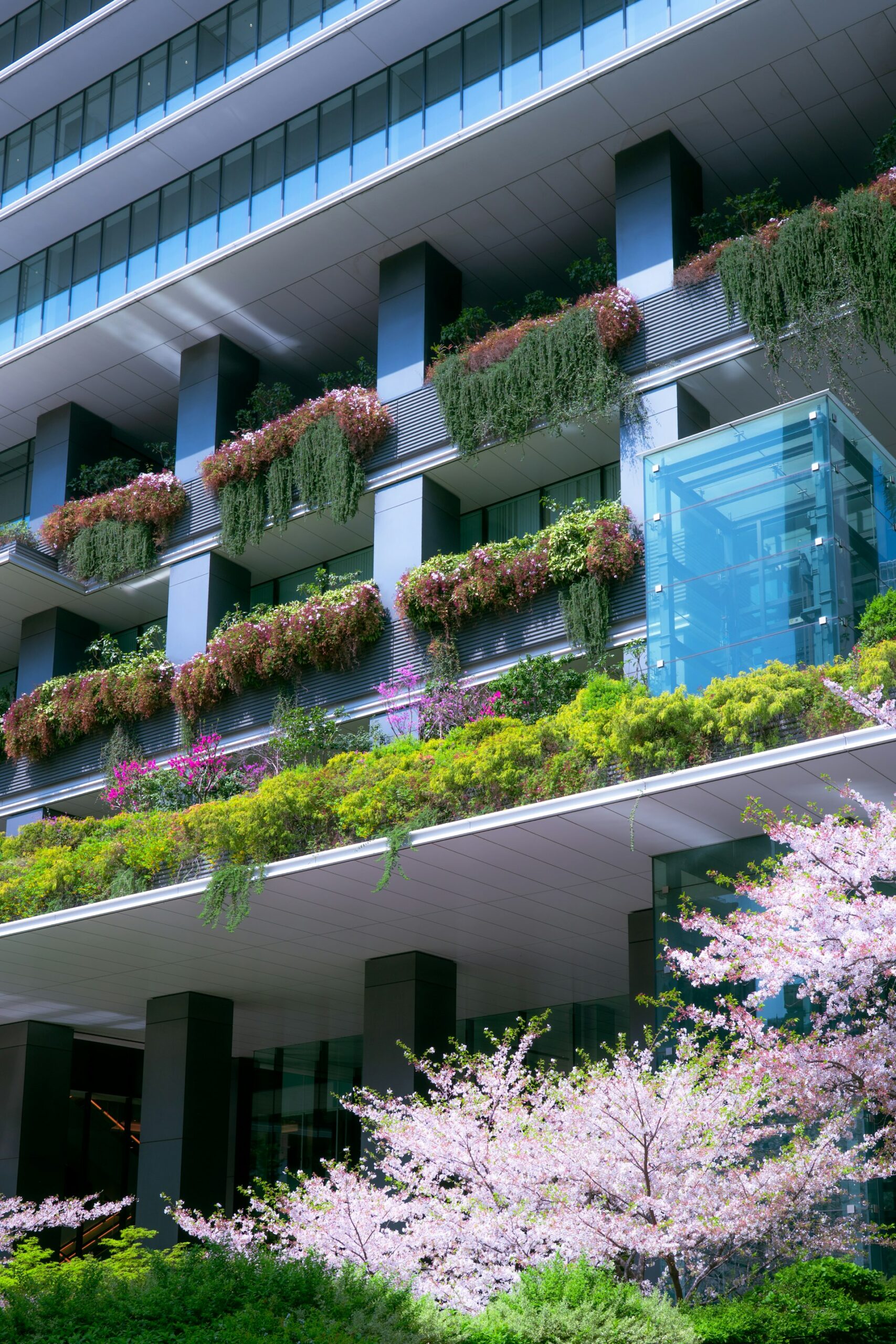 Building Value and Resilience: Why Sustainable Architecture Is Essential for Modern Property Development