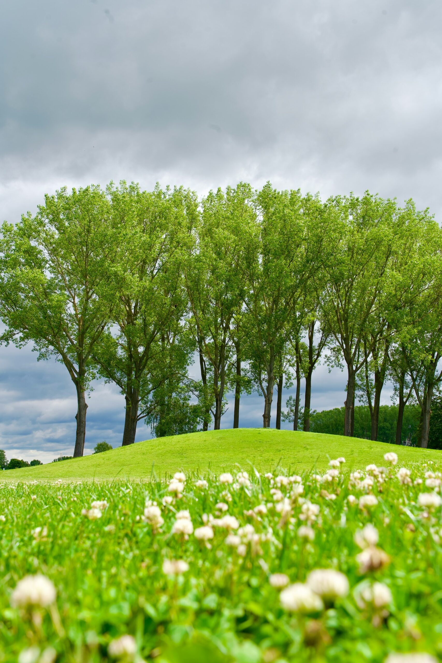 How Sustainable Landscaping Can Enhance Your Property Value and Curb Appeal